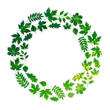 Vector frame with colored summer leaves in grunge style Stock Illustration