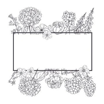 Vector frame with  garden flowers.  Sketch  illustration. Stock Illustration