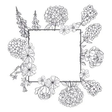 Vector frame with  garden flowers.  Sketch  illustration. Stock Illustration