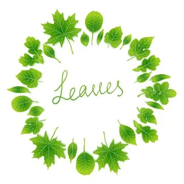 Vector frame of green leaves Stock Illustration