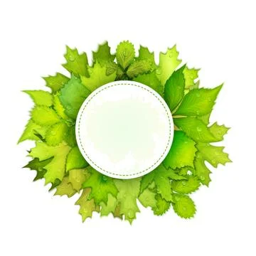 Vector frame with green leaves Illustrazione stock