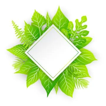 Vector frame with green leaves Stock Illustration