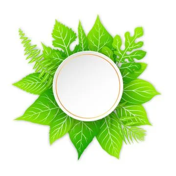 Vector frame with green leaves Stock Illustration