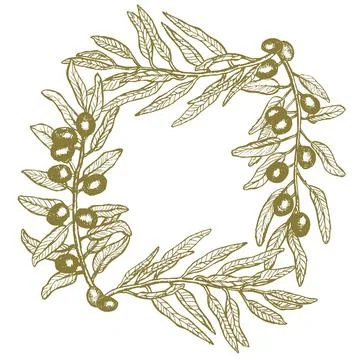 Vector frame with green olive branch with fruit, hand drawn border in linear Illustrazione stock