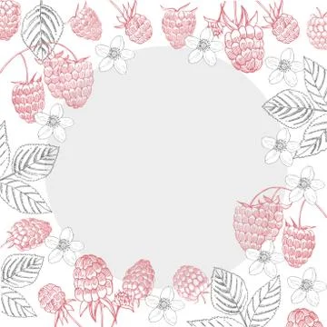 Vector frame with hand drawn  berry. Raspberry.  Sketch illustration . イラスト素材