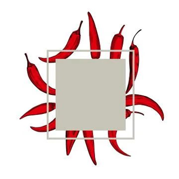 Vector frame with hand drawn chili pepper. Sketch illustration Stock Illustration