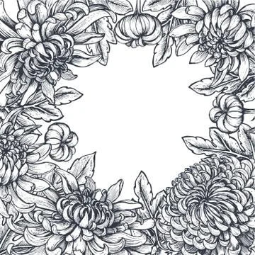 Vector frame with hand drawn chrysanthemum flowers Stock Illustration