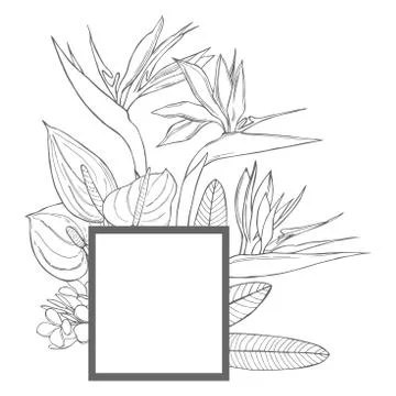 Vector frame with hand  drawn tropical flowers. Stock Illustration