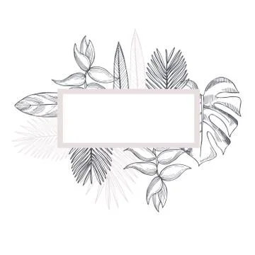 Vector frame with hand drawn tropical plants. Stockillustratie