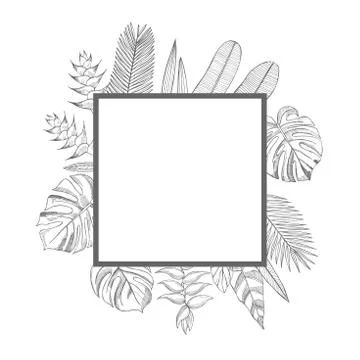 Vector frame with  hand drawn tropical plants. Stock Illustration