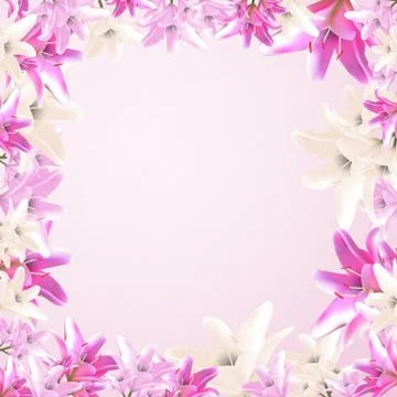 Vector frame illustration. Garden and wild lily. Stock Illustration