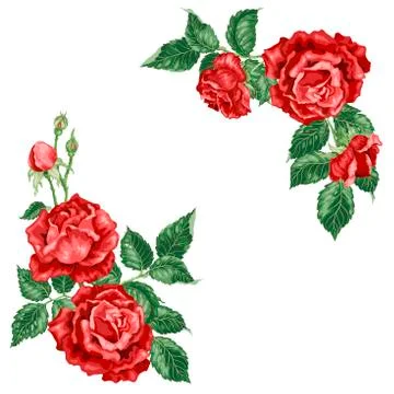 Vector frame illustration with rose flowers Stock-Illustration