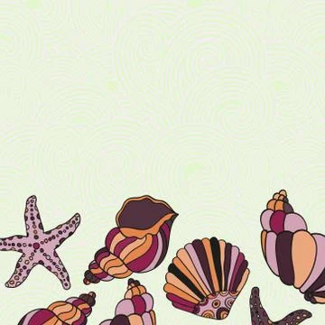 Vector Frame Illustration of Shells. Stock Illustration
