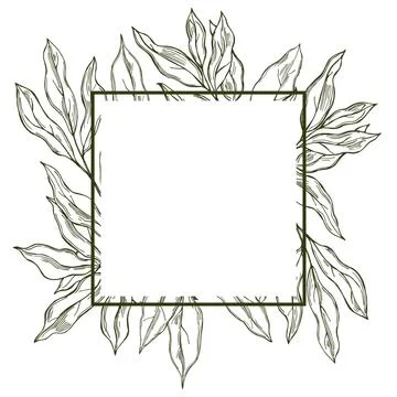 Vector frame with  laurel plant.  Sketch illustration Stock Illustration
