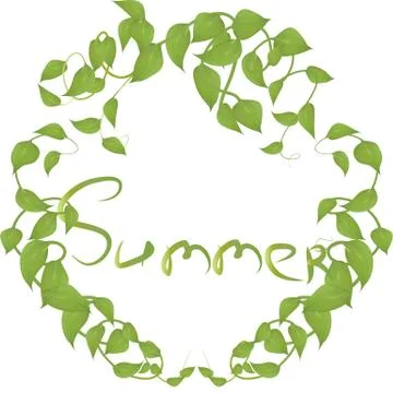 Vector frame of leaves and twigs with summer inscription for decoration of ev Stock Illustration