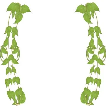 Vector frame of leaves and twigs for decorating events Stock Illustration