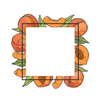 Vector  frame with peaches. Stock Illustration