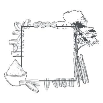 Vector frame with Sandalwood. Stock Illustration