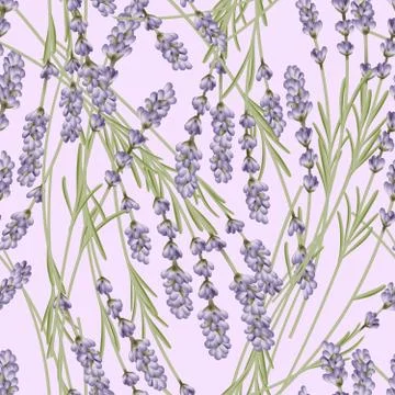 Vector French Lavender Seamless Pattern in Pastel Pink Background Stock Illustration