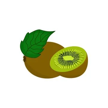 Vector of fresh kiwi fruit Stock Illustration