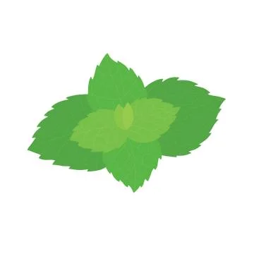 Vector fresh mint leaves on a white background Stock Illustration