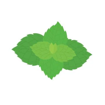 Vector fresh mint leaves on a white background Stock Illustration
