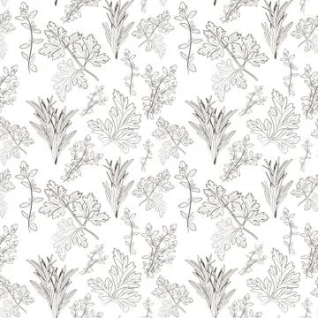 Vector fresh parsley, thyme and rosemary herbs. Aromatic leaves used to seaso Stock Illustration