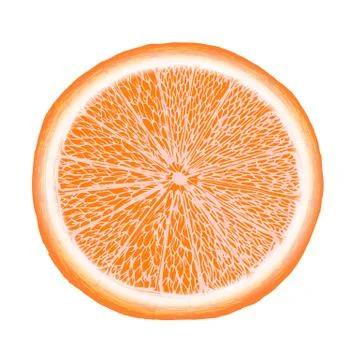 Vector fresh ripe slice of orange on white. Healthy food logo Stock Illustration
