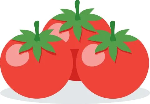 Vector of Fresh tomatoes isolated on white background healthy close up. Stock Illustration