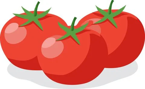 Vector of Fresh tomatoes isolated on white background healthy close up. Stock Illustration