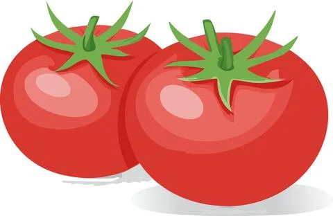 Vector of Fresh tomatoes isolated on white background healthy close up. Stock Illustration