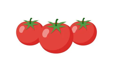 Vector of Fresh tomatoes isolated on white background healthy close up. Stock Illustration