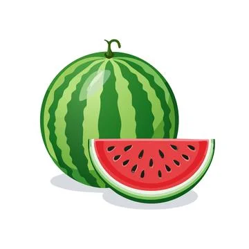 Vector of Fresh Watermelon isolated on white background healthy close up. Stock Illustration