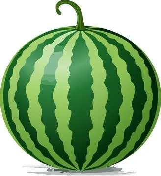 Vector of Fresh Watermelon isolated on white background healthy close up. Stock Illustration