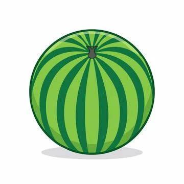 Vector of Fresh Watermelon isolated on white background healthy close up. Stock Illustration
