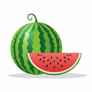 Vector of Fresh Watermelon isolated on white background healthy close up. Stock Illustration