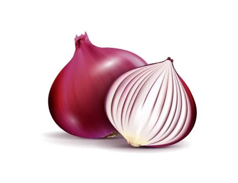 Vector Fresh Whole and Sliced Red Onion Bulbs Close up Isolated on White Иллюстрация