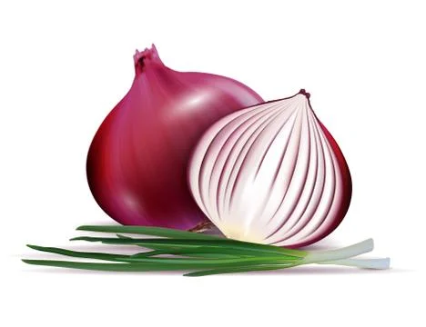 Vector fresh whole and sliced red onion bulbs with green onions close up Stock Illustration