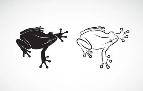 Vector of frog design on white background. Amphibian. Animal. Frog Icon. Easy Stock Illustration