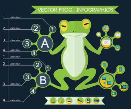 Vector frog infographics 03 Stock Illustration