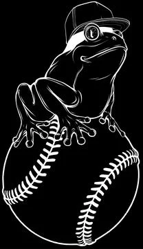 Vector frog in white line on black background Illustrazione stock