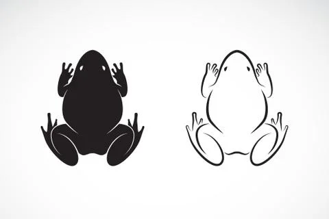 Vector of frogs design on white background. Amphibian. Animal. Easy editable  Stock Illustration