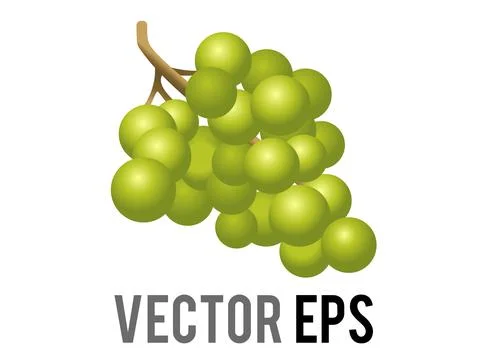 Vector fruit gradient green grapes bunch icon Illustrazione stock