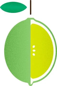 Vector fruit helf green lemon cartoon vector illustration isolated object Illustrazione stock