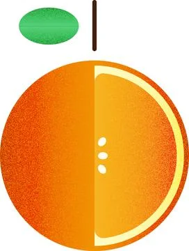 Vector fruit helf orange cartoon vector illustration isolated object Illustrazione stock