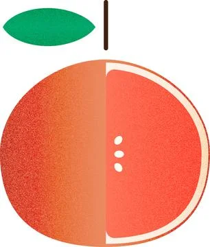 Vector fruit helf Red Grapefruit cartoon vector illustration isolated object Stock Illustration