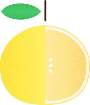 Vector fruit helf White Grapefruit cartoon vector illustration isolated object Stock Illustration