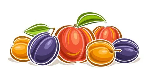 Vector Fruit Logo 스톡 일러스트