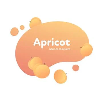 Vector fruit modern fluid banner template. yellow apricot on splash shape Stock Illustration