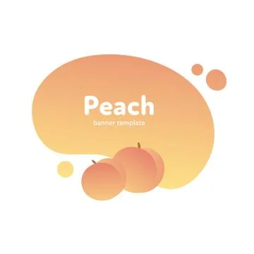 Vector fruit modern fluid banner. Colorful yellow peach Stock Illustration